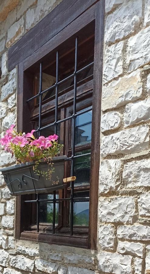 Agriogido - Rupicapra Villas Papingo Dış mekan fotoğraf